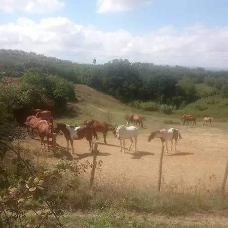 Appartamento Sughera דירה